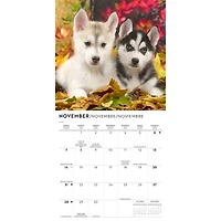 Siberian Husky Puppies 2027 Mini Calendar