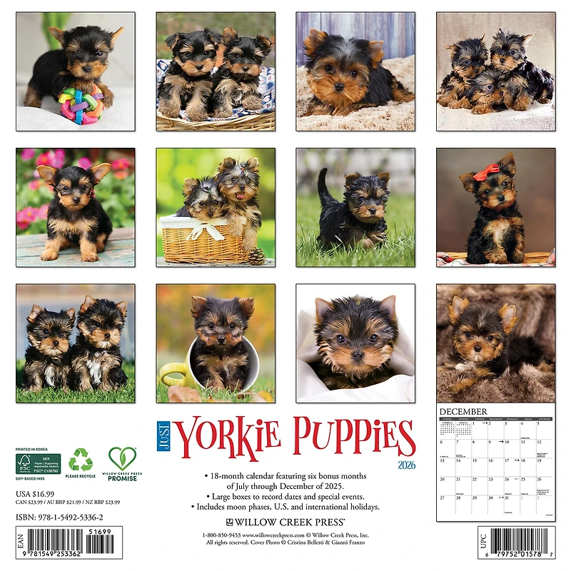 Just Yorkie Puppies 2026 Wall Calendar