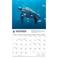 World Wildlife Fund Sea Turtles 2027 Wall Calendar