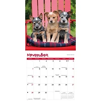 Puppies 2027 Wall Calendar