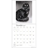 The Artful Cat 2027 Wall Calendar - Online Only