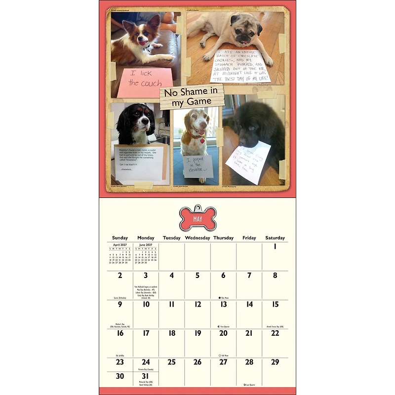 Dog Shaming 2027 Wall Calendar