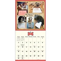 Dog Shaming 2027 Wall Calendar