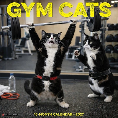 Gym Cats 2027 Wall Calendar