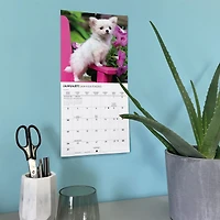 Chihuahua Puppies 2027 Mini Calendar