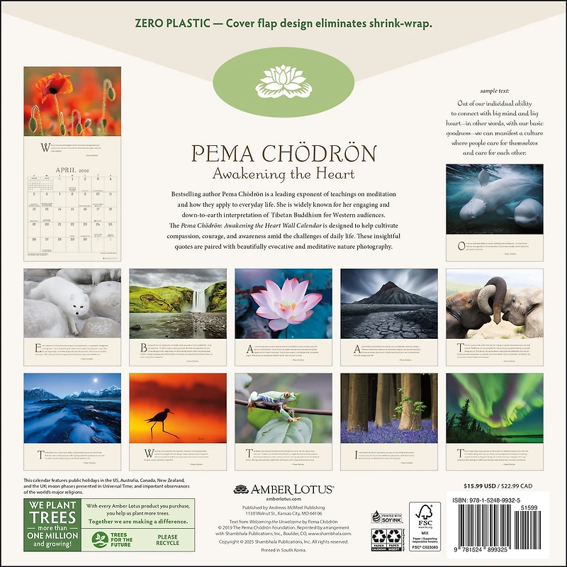 Pema Chödrön 2026 Wall Calendar - Online Only