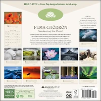 Pema Chödrön 2026 Wall Calendar - Online Only