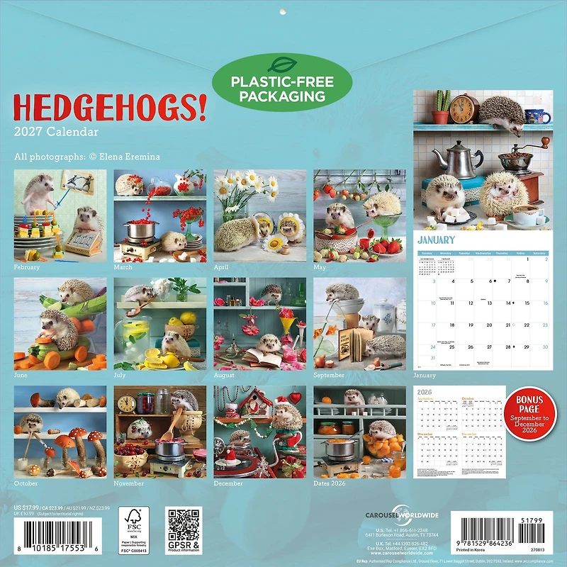 Hedgehogs! 2027 Wall Calendar