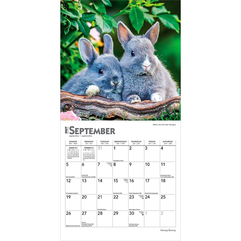 Honey Bunny 2027 Mini Calendar