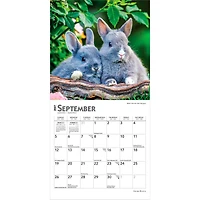 Honey Bunny 2027 Mini Calendar