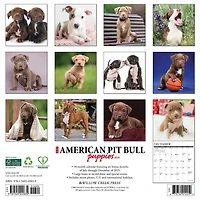 Just  American Pit Bull Terrier Puppies 2026 Wall Calendar - Online Only
