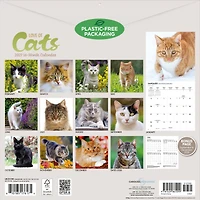 Love of Cats 2027 Wall Calendar