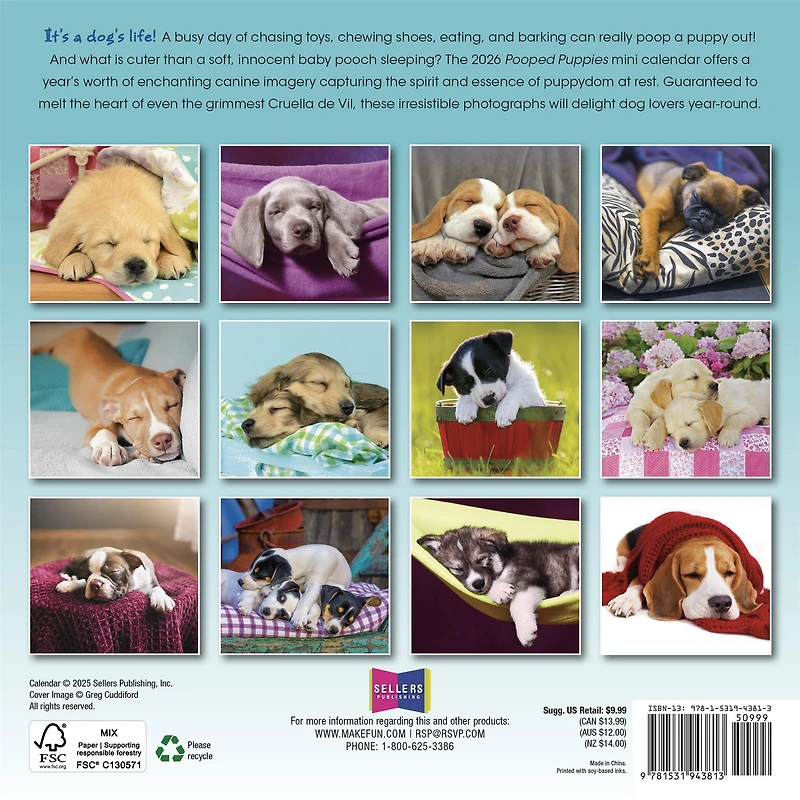 Pooped Puppies 2026 Mini Calendar