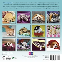 Pooped Puppies 2026 Mini Calendar