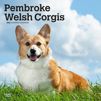 Welsh Corgis Pembroke 2026 Wall Calendar - Online Only