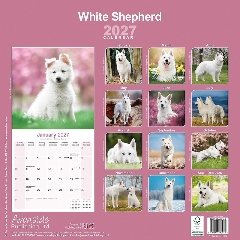White Shepherd 2027 Wall Calendar - Online Only