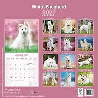 White Shepherd 2027 Wall Calendar - Online Only