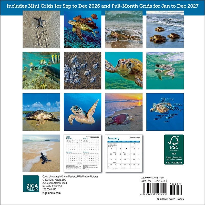 Sea Turtles 2027 Mini Calendar