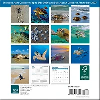 Sea Turtles 2027 Mini Calendar