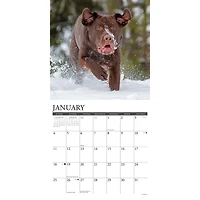 Just Labs 2026 Wall Calendar