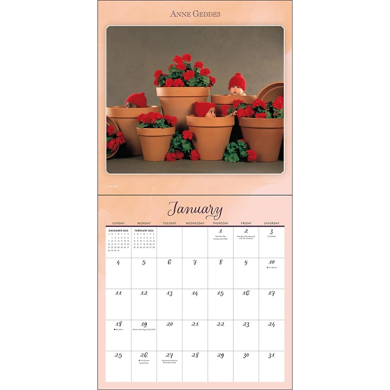 Anne Geddes 2026 Wall Calendar