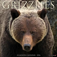 Grizzlies 2026 Wall Calendar