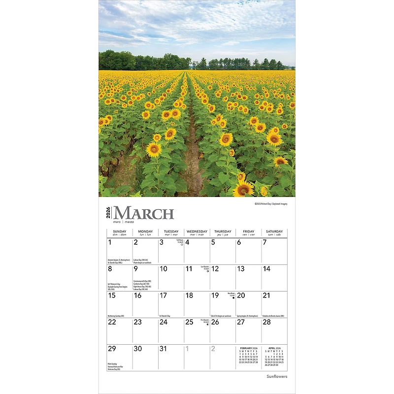 Sunflowers 2026 Mini Calendar