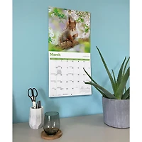 Squirrels 2027 Wall Calendar