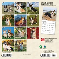 Welsh Corgis 2026 Mini Calendar