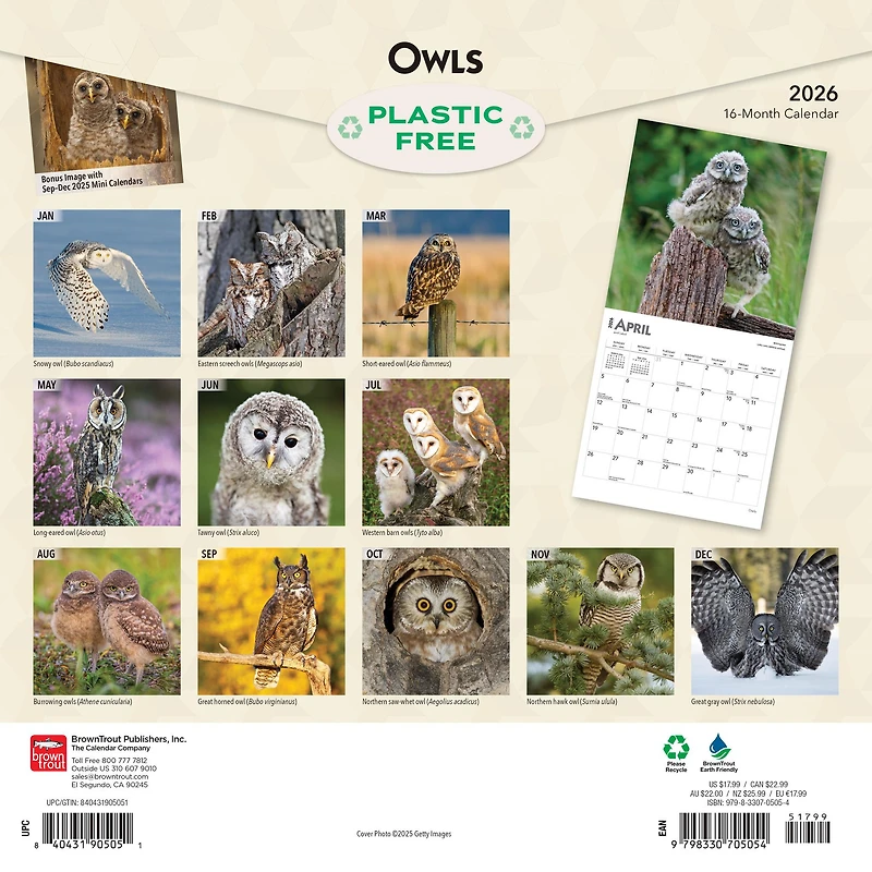 Owls 2026 Wall Calendar - Online Only