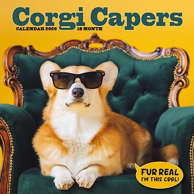 Corgi Capers 2026 Wall Calendar