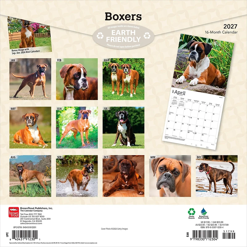 Boxers International 2027 Wall Calendar