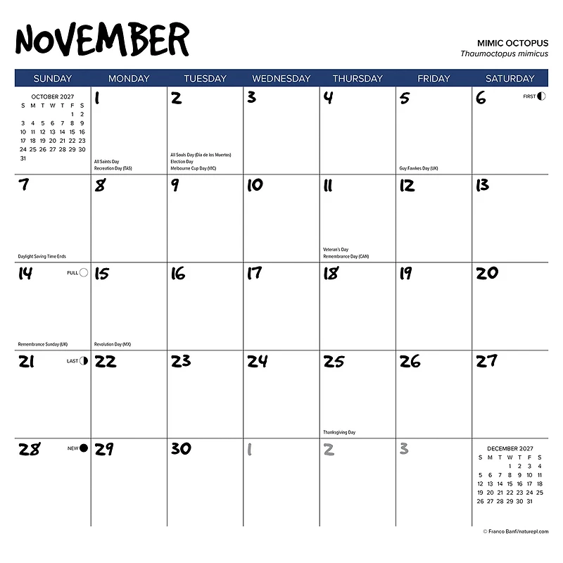 Octopus 2027 Wall Calendar