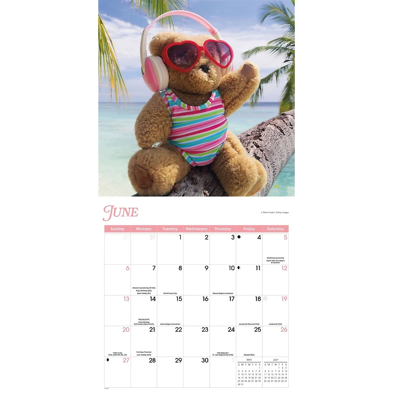 Teddy Bears 2027 Wall Calendar