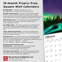 Aurora Borealis Bilingual 2026 Wall Calendar - Online Only