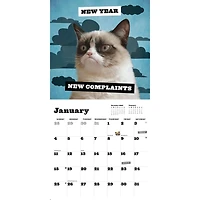 Grumpy Cat 2026 Wall Calendar