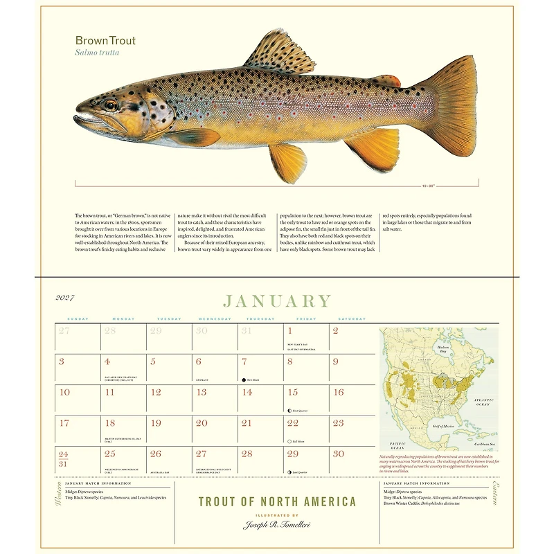 Trout of North America 2027 Wall Calendar