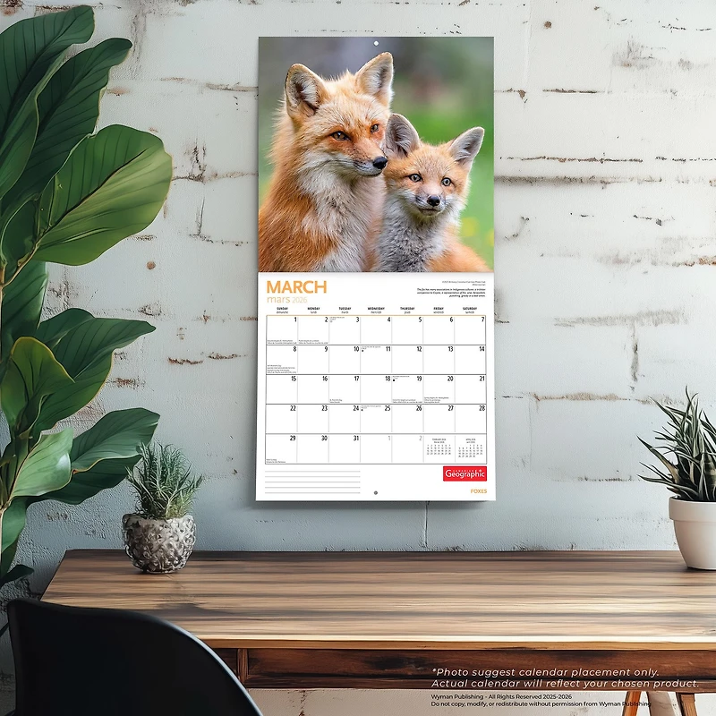 Canadian Geographic Foxes 2026 Wall Calendar - Online Only