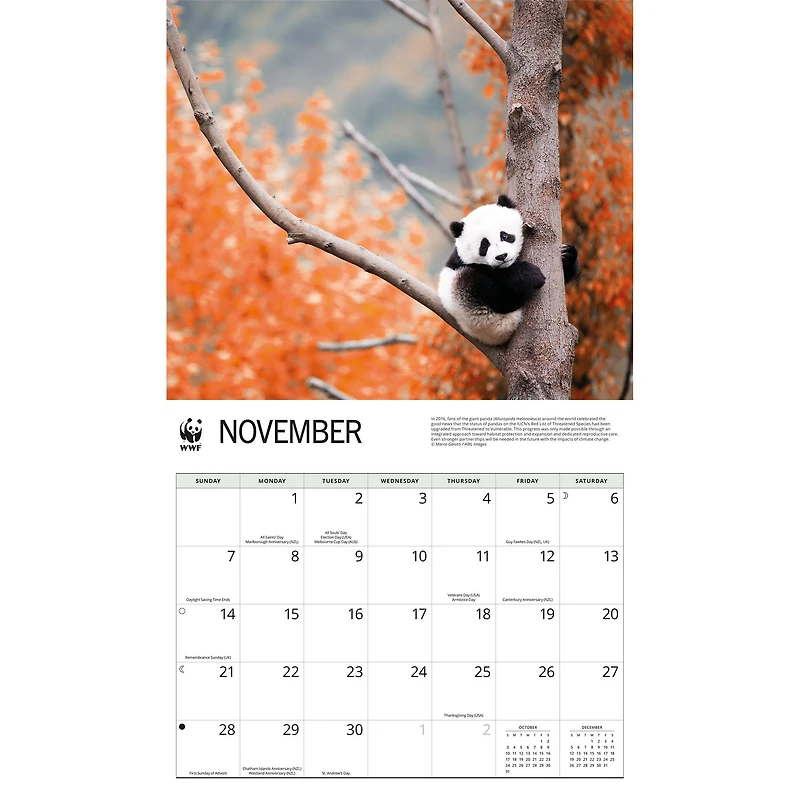 World Wildlife Fund Giant Pandas 2027 Wall Calendar