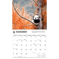 World Wildlife Fund Giant Pandas 2027 Wall Calendar