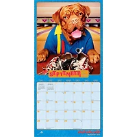 Dogs Gone Wild Avanti 2027 Wall Calendar