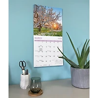 Trees 2027 Wall Calendar