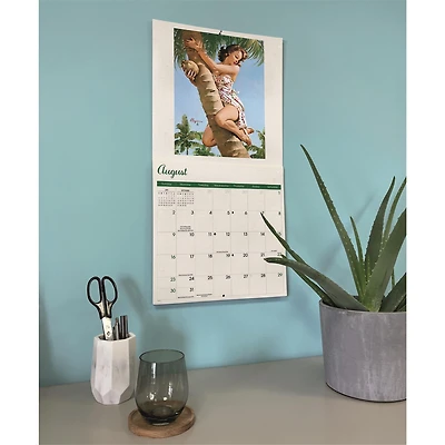 Pin Ups 2026 Wall Calendar