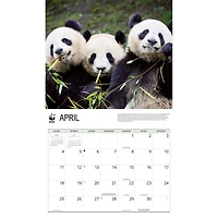 World Wildlife Fund Giant Pandas 2027 Wall Calendar