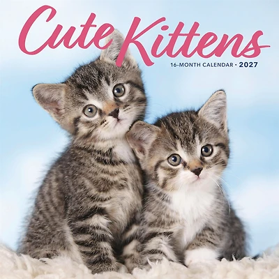 Cute Kittens 2027 Wall Calendar