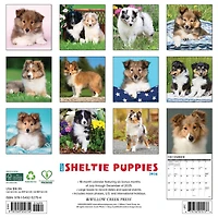 Just Sheltie Puppies 2026 Wall Calendar - Online Only