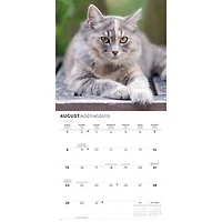 Love of Cats 2027 Wall Calendar
