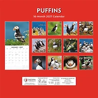 Puffins 2027 Wall Calendar