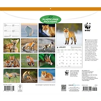 World Wildlife Fund Foxes 2027 Wall Calendar