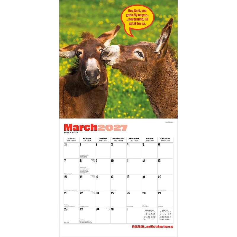 Jackasses 2027 Wall Calendar